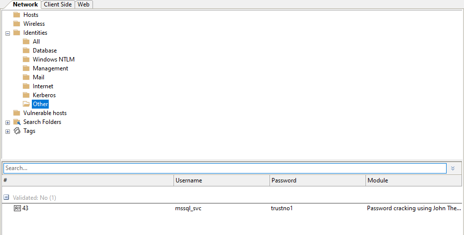 Windows Domain IG - Enumerate User Accounts with SPNs - Cracked Password identity