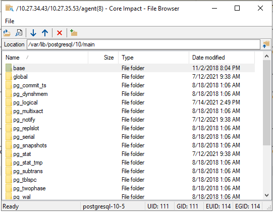 Inspect PostgreSQL host - File Browser
